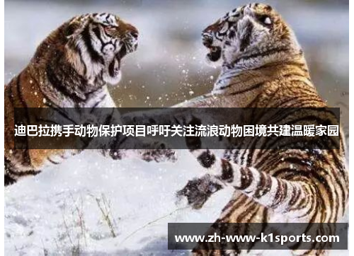 迪巴拉携手动物保护项目呼吁关注流浪动物困境共建温暖家园 迪巴拉携手动物保护项目呼吁关注流浪动物困境共建温暖家园