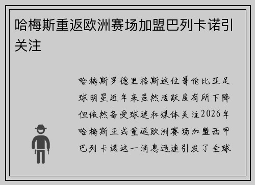 哈梅斯重返欧洲赛场加盟巴列卡诺引关注